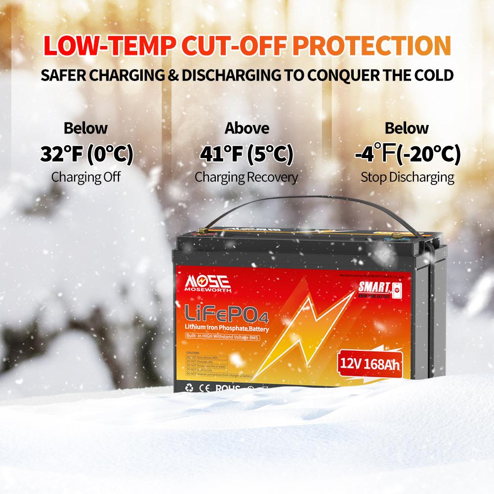 Акумулятор MOSEWORTH LiFePO4 12V/168AH (2160W*h) Bluetooth 168Ah купити в Україні