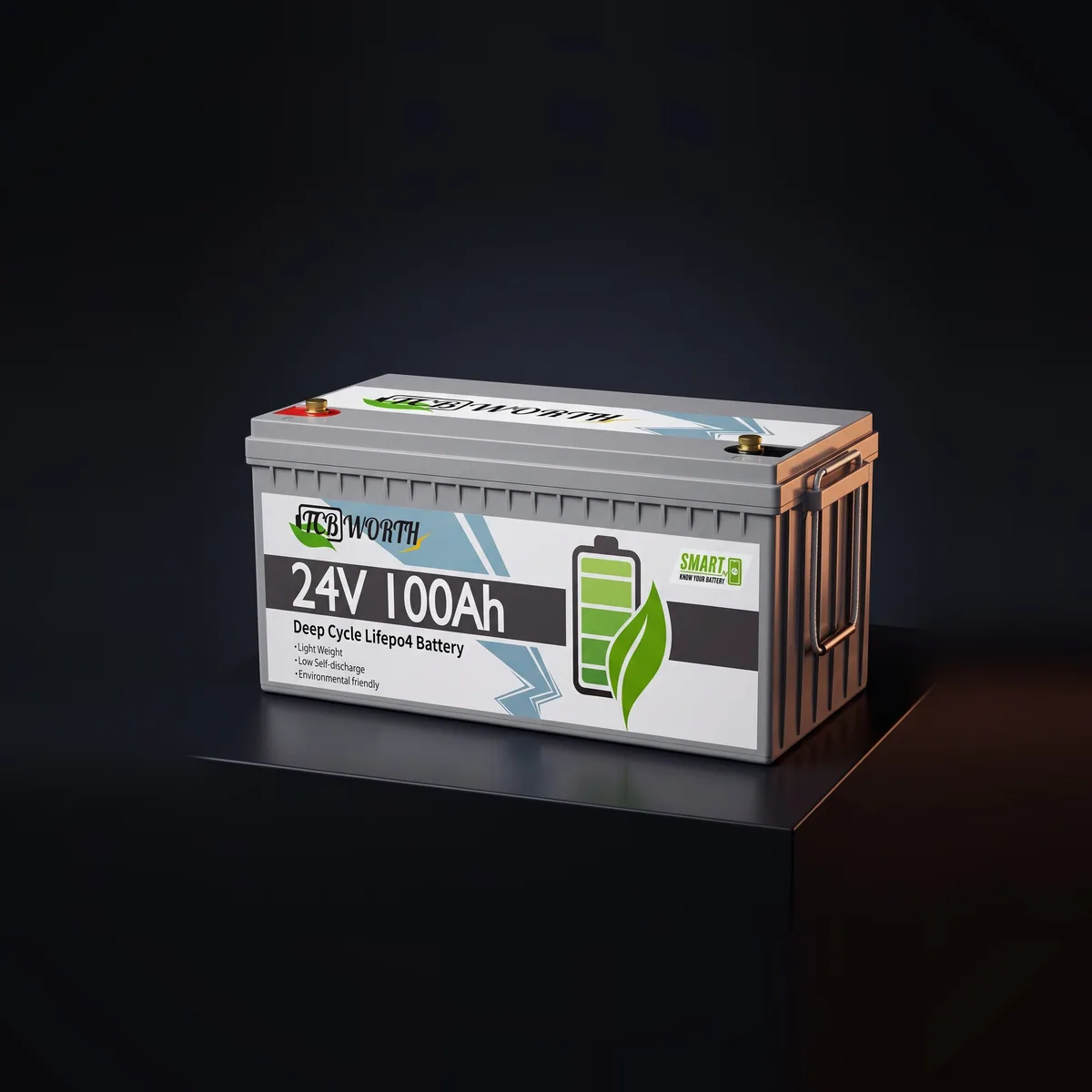 Акумулятор TCBWorth LiFePO4 24V/100AH (2560W*h) Bluetooth 100Ah купити в Україні